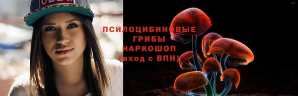 дурь Каменногорск