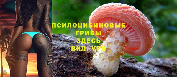 дурь Каменногорск