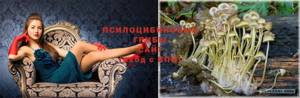 мяу мяу кристалл Каменка