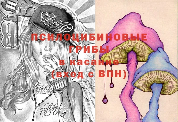 дурь Каменногорск