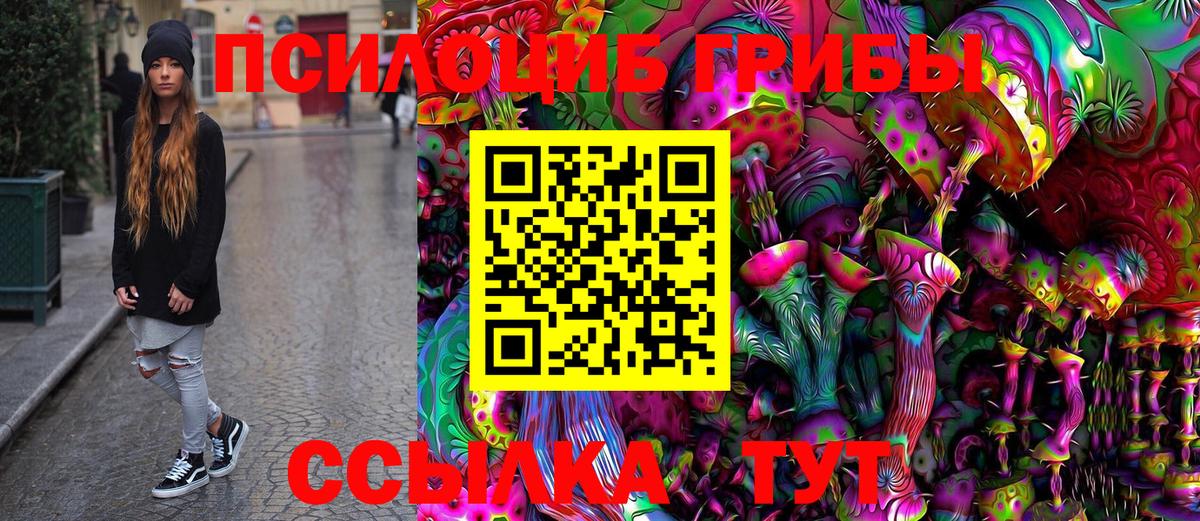 Галлюциногенные грибы Cubensis Нарьян-Мар