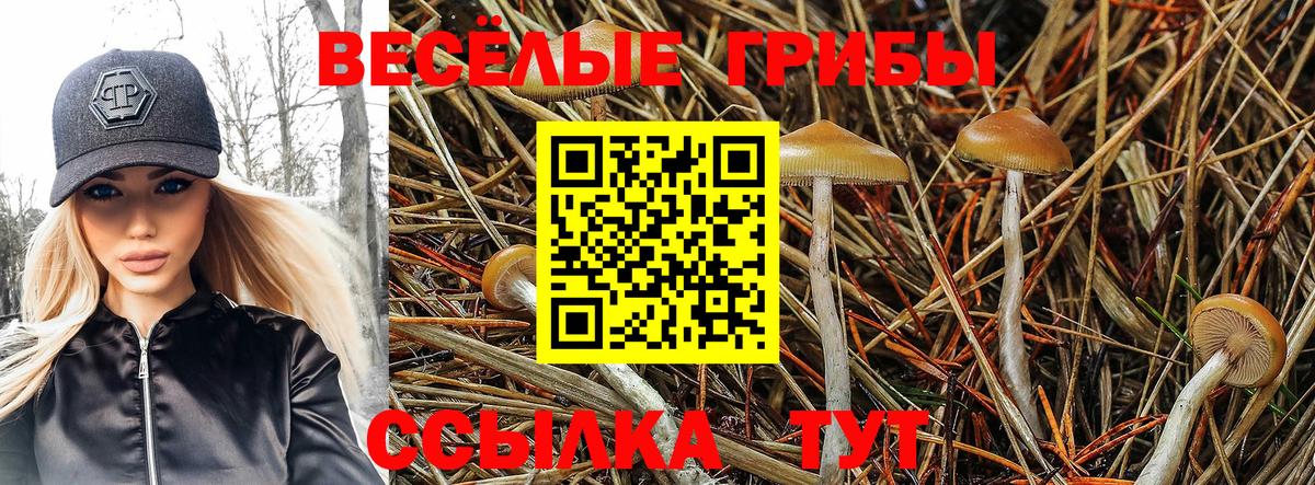 Нарьян-Мар  купить закладку  Вход с VPN  Галлюциногенные грибы ЛСД  Галлюциногенные грибы ЛСД 